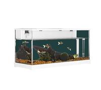 Lidzopas Fish Tank, Rectangular Aquarium Tank Clear Acrylic Aquarium Tank Top Circulating Filtration System, Silent Water Pump for Goldfish Small Fish& Home Office Desktop Decorative,38x14x18cm