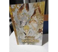 Lie, Chris - Return to Labyrinth: v. 2