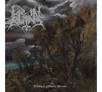 Lie in Ruins Floating in Timeless.. (CD) (US IMPORT)