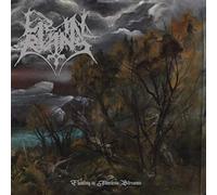 Lie in Ruins - Floating in Timeless Streams [VINYL]