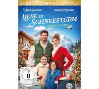 Liebe im Schneesturm - Christmas in Alaska [DVD] [2024]