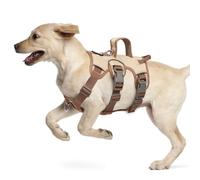 LiebeDD Dog Harness for Medium Small Puppy - 3 Point Escape Proof Harnesses with Handle, Y Shaped, Front Clip, Lightweight Soft No Pull Harness for Dogs Bulldog Pug Jack Russell, Beige+Chest Ring, L
