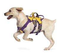 LiebeDD Dog Harness for Medium Small Puppy - 3 Point Escape Proof Harnesses with Handle, Y Shaped, Front Clip, Soft No Pull Harness for Dogs Bulldog Pug Jack Russell, Yellow+Chest Ring, S