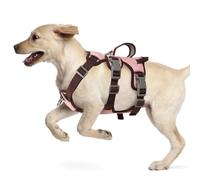 LiebeDD Dog Harness for Medium Small Puppy - 3 Point Escape Proof Harnesses with Handle, Y Shaped, Front Clip, Lightweight Soft No Pull Harness for Dogs Bulldog Pug Jack Russell, Pink+Chest Ring, L