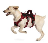 LiebeDD Dog Harness for Medium Small Puppy - 3 Point Escape Proof Harnesses with Handle, Y Shaped, Front Clip, Lightweight Soft No Pull Harness for Dogs Bulldog Pug Jack Russell, Black+Chest Ring, S