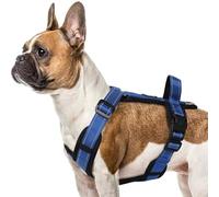 LiebeDD Dog Harness, H Shaped Front Clip Dog Harnesses with Handle, Reflective Adjustable French Bulldog Harness, Easy Walk Dog Harness for Medium Small Dog Puppy, Blue, L