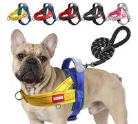 LiebeDD Dog Harness with Lead for Medium Small Dogs Puppies, Colourful Colour Block Harness, Soft Padded Safety Harness Dog with Handle, Reflective & Lightweight, Blue + Yellow, XL