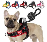 LiebeDD Dog Harness with Lead for Medium Small Dogs Puppies, Colourful Colour Block Harness, Soft Padded Safety Harness Dog with Handle, Reflective & Lightweight, Black + Red, M
