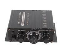 LiebeWH 5.0 Power Amplifier High Power Output Clear Sound Quality for Car Home Aluminium Alloy
