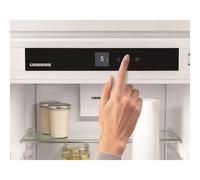 IRe4101 Fridge Icebox IRe4101