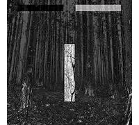 Liebing Chris - Another Day [VINYL]