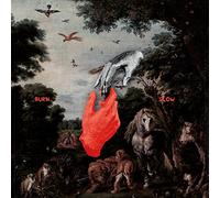 Liebing, Chris - Burn Slow [Vinyl LP] [VINYL]