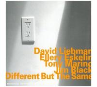 Liebman, David - Different But The Same