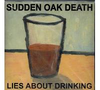 Lies About Drinking
