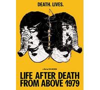 Life After Death from Above 1979