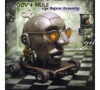 Life Before Insanity By Gov't Mule (0001-01-01)