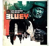 Life Between the Notes by BLUEY