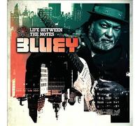 Life between the Notes by Bluey (CD, 2015)