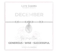 Life Charms Birth Flower Bracelets (December - Poinsettia)