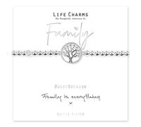 Life Charms Family Is Everything Bracelet