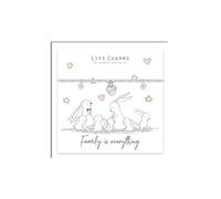 Life Charms Rosey Rabbit - Family Is Everything Silver Plated Bracelet - Beautiful Gift For Her - Women's, Ladies, Girl's, Female Jewellery