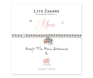 Life Charms Rwyt Ti'n Mam Arbennig Welsh