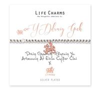 Life Charms Welsh The Red Dragon bracelet