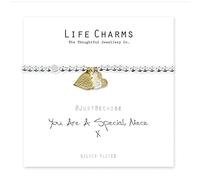 Life Charms You are A Special Niece Bracelet