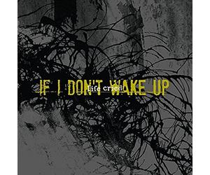 Life Cried - If I Don't Wake Up