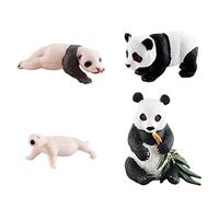Life Cycle Animal Figures Toy 4 Stages of Panda Science Educational Toys Style A