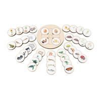 Life Cycle Board - Wooden Jigsaw Puzzle Tray, Early Educational Toy Children, Five Grid Learning Activity | Life Cycle Board Perfect Learning For Kids Ages 3 4 5 6 Cognitive Development Play