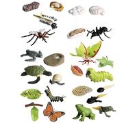 Life Cycle Figures for - Realistic Animal Model Set, Educational Toys Collection, Hand Painted Details | Education cognition Growth Cycle Frog Butterfly