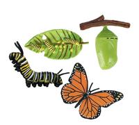 Life Cycle Figurines - Durable PP Material | Life Cycle Toys | Educational Growth Cycles Set | Moth Butterfly Turtle Ant Frog PP Figures Toy Kit For Science Education Use