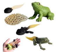 Life Cycle Figurines - Educational Animal Growth Model Set | Butterfly Moth Turtle Frog Ant Development Figures, Cognitive Learning Toys For Children Science Exploration