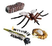 Life Cycle Figurines - Educational Animal Growth Model Toys, Realistic Learning Set | PP Durable HandPainted Science Kit Butterfly Frog Ant Turtle Moth Stages Figures Suitable Kids Biology Teaching Co