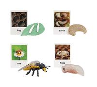 life Cycle Figurines Toy Educational Realistic for Party Favors Bee