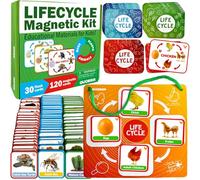 Life Cycle Flash Cards for Toddlers - Learning Resources for 3 4 Year Olds | 30 Flashcards Science Kit for Kids Age 5 - Pre-K Kids Learning Toys - 120 Magnetic Animals Cards For Preschool Activities