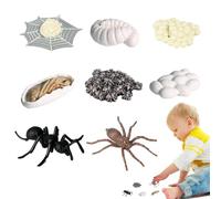 Life Cycle Kit - Grade Resin Material with Detailed Painted Finish, Ant Figurines Animal Growth Cycle Kit, Professional Educational Toy Resource, Advanced Secure Placement | With Specimen T