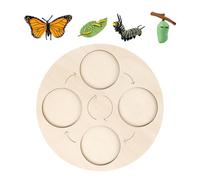 Life Cycle Kit Toy - 10.2 Inch Natural Wood Teaching Tool, Early Development Science Logic Hardware, Colorful Biology Classroom Demonstration Mechanism, Kids Accessory | Toddlerss Student Home
