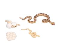 Life Cycle Model Toy, Snake Growth Cycle Model Rattlesnake Growth Cycle Model Life Cycle Model for Children Educational Toys