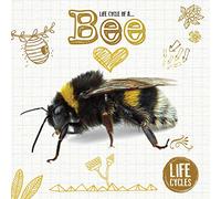 Life Cycle of a Bee (Life Cycles)
