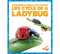 Life Cycle of a Ladybug (Incredible Animal Life Cycles)
