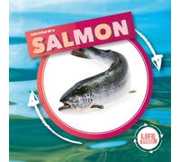 Life Cycle Of A Salmon