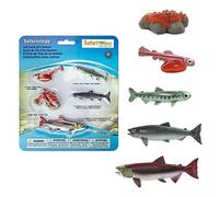 Life Cycle of a Salmon