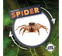 Life Cycle Of A Spider (Life Cycles)