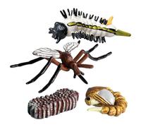 Life Cycle Statues | Life Cycle of Butterfly, Honey Bee, Frog, Turtle, Moth, Amei Action Model | Growth Cycles Stages PP Figures, Early Educational Toys Science Project for Kids