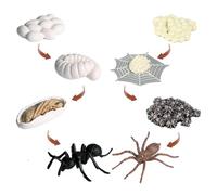 Life Cycle Toy - 3+ Age Spider Figurine Growth Cycle Set Educational Toy, Preschool Learning Animal Figures, Montesori Science Activity Kit | Biology Learning Fun for Kids Home School Set Kits