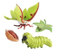 Life Cycle Toy - Tasteless Life Cycle Statues | Growth Cycles Stages PP Figures, Educational Figures Kit Including Butterfly, Frog, Turtle, Moth, Amei and Others