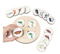 Life Cycle Tray - Recessed Round Slots, Sensory Growth Observation Unit, Sustainable Wood Cognition Kit, Practical Resource for Nature Study | Attrez