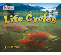 Life Cycles: Band 16/Sapphire (Collins Big Cat)